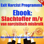Ebook: Slachtoffer m/v van narcistisch misbruik, hoe schadelijk is het gedrag van een narcist?